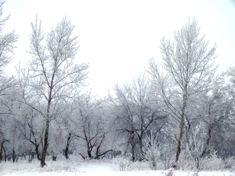 Олег Ткаченко | Омск