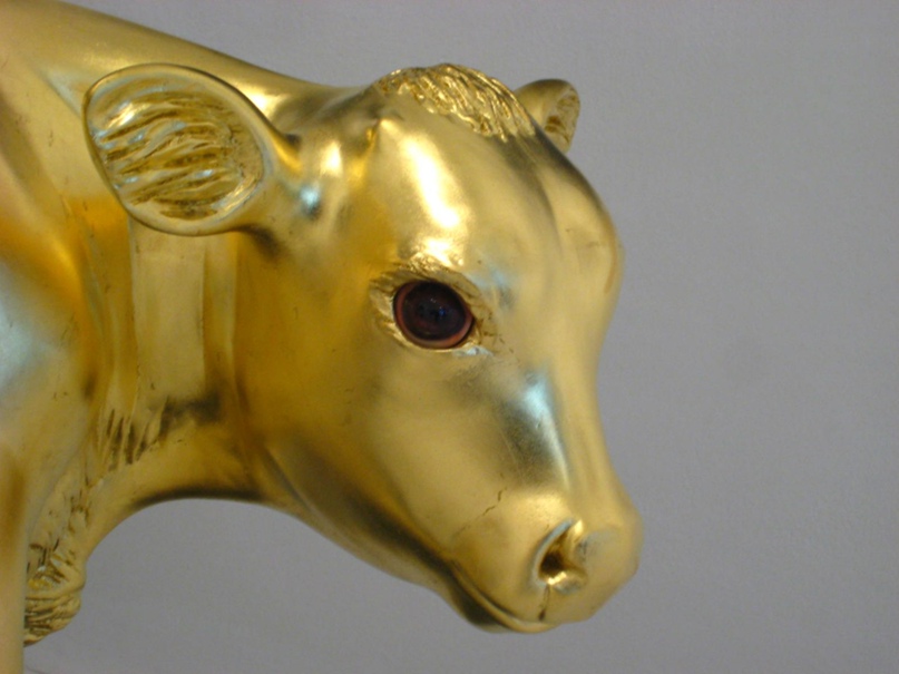 Наталья Бунина | Волгоград