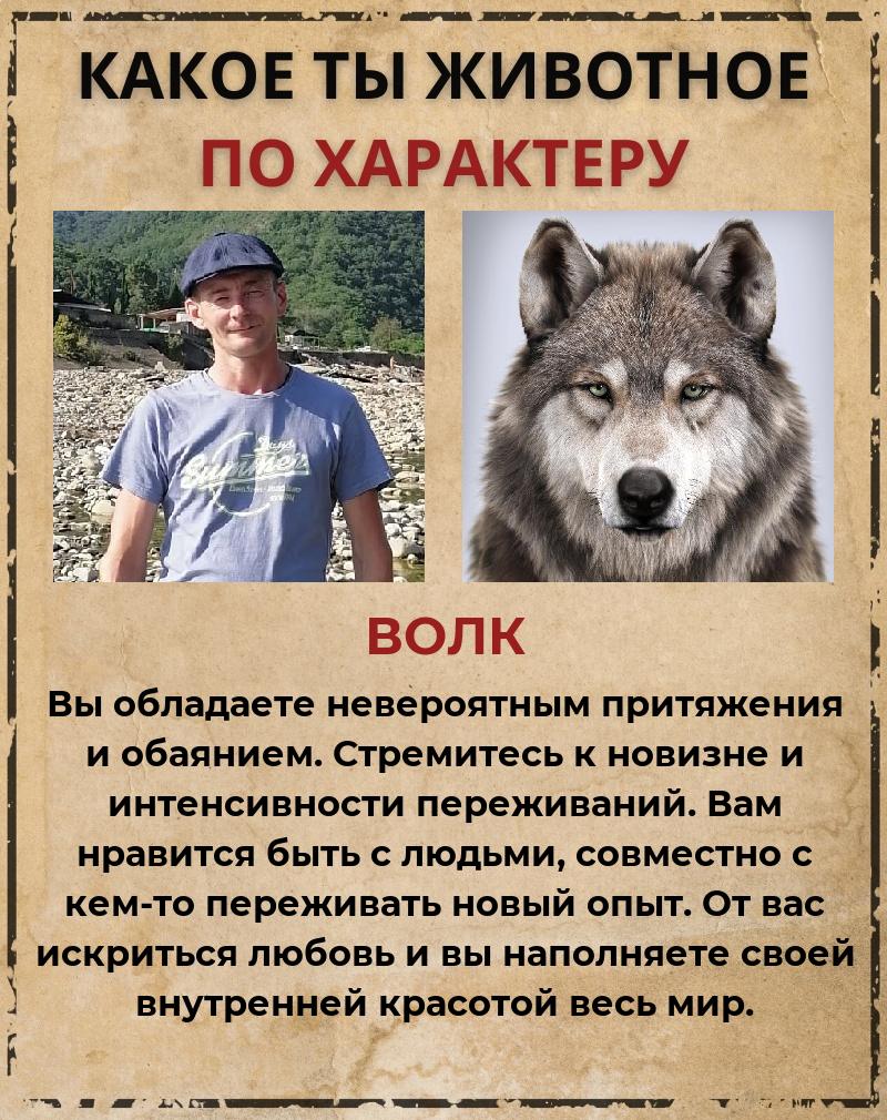 Виктор Матвеев | Суда