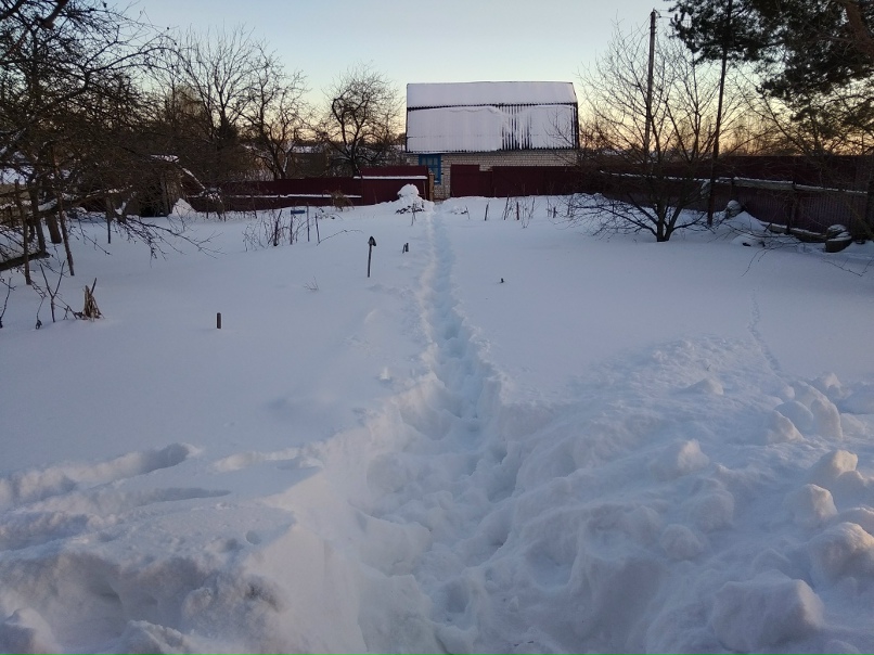 Александр Шарапов | Брянск