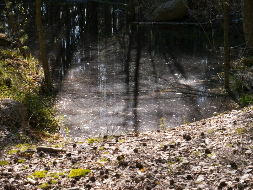 Виталий Харьков | Санкт-Петербург