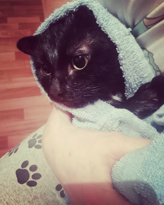 Надежда Рыжая ◕ ‿ ◕ Online♥ ЛИСА ♥ | Челябинск