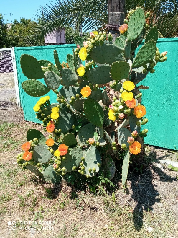 Марина Молоткова Борисовна | Нижний Новгород