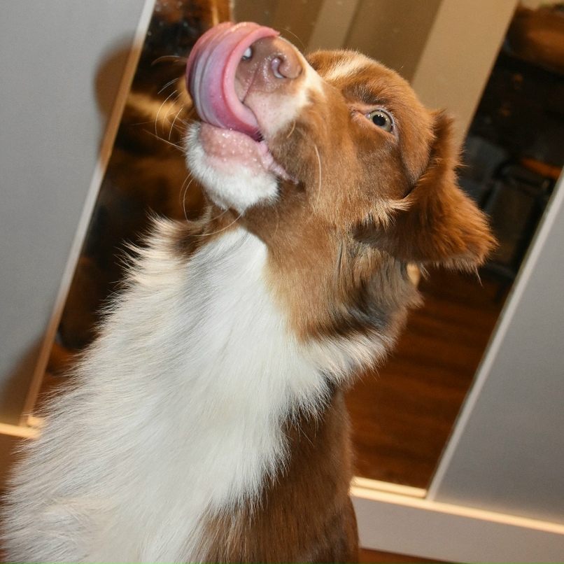 Владимир Широков | Москва