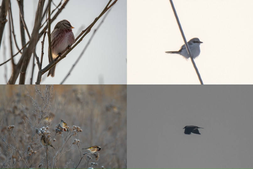 Дарья Остапенко | Санкт-Петербург