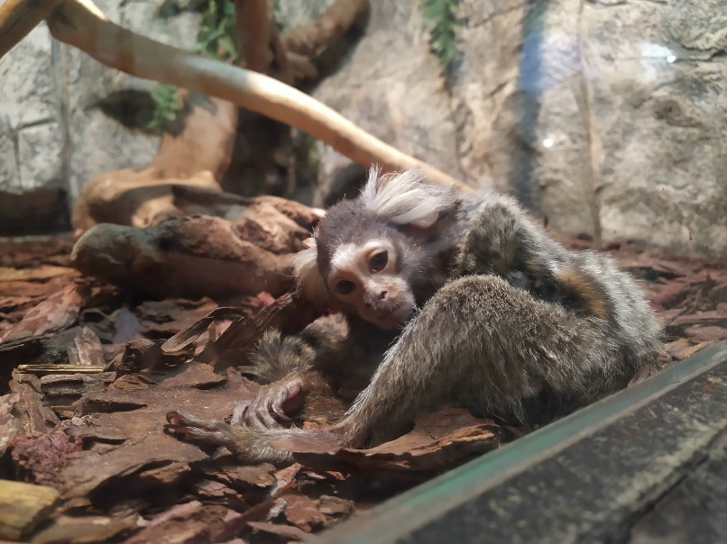 Лена Овсянникова | Таганрог