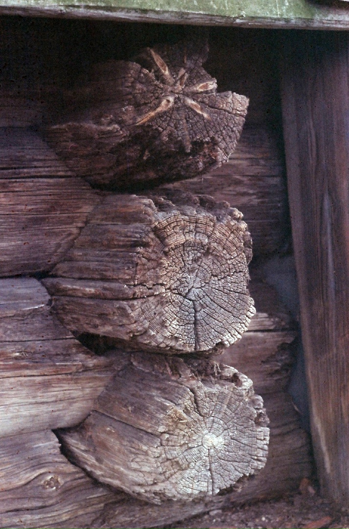 Егор Попов | Череповец