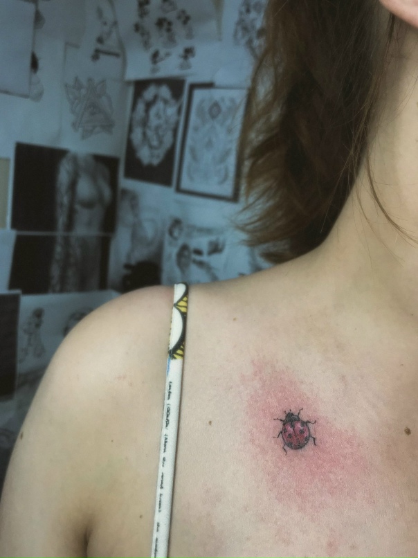 Анастасия Корельская | Вологда