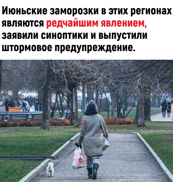 Какое-то непонятное лето