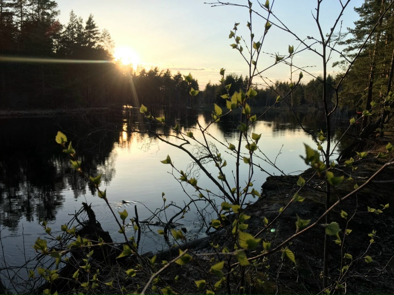 Наталья Силкина | Рязань