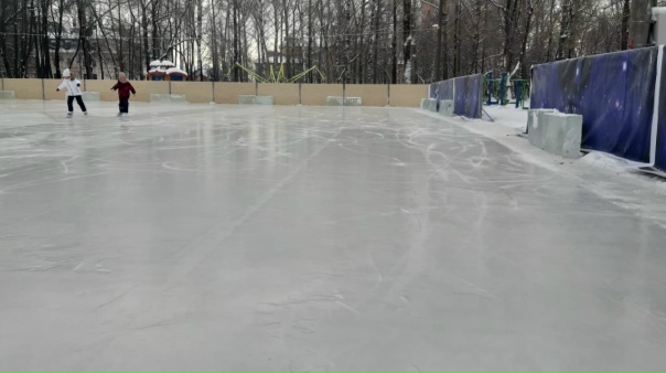 Каток в зоопарке Каток в зоопарке