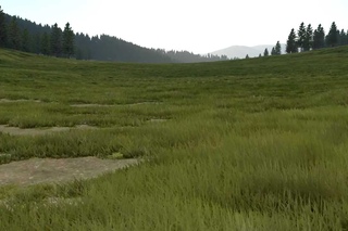 Procedural grass in Outerra