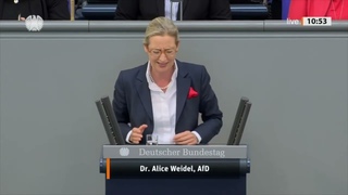 WEIDEL TEILT AUS: HEUCHLER VON DER CDU!  | Heizungsgesetz-Kontroverse | AfD im Bundestag