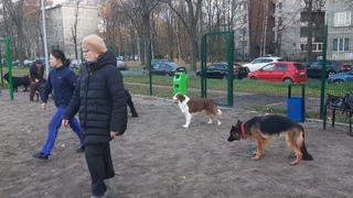 музей пса Жил Был Пес кинологи Щемиловка