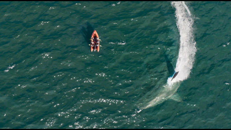 Мег 2 Впадина Русский трейлер (Субтитры) кино в HD качестве