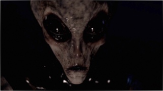 Interrogatorio a Extraterrestre del Area 51 - The Alien Interview
