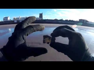 MAKRO KRUZER, UK BEACH METAL DETECTING