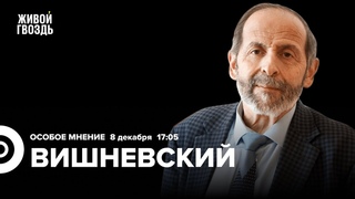 Выдвижение Путина, памятники Сталину, что делать на выборах / Вишневский: Особое мнение //