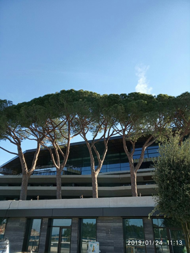 Андрей Давидович | Минск