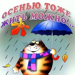 Лариса Арданкина
