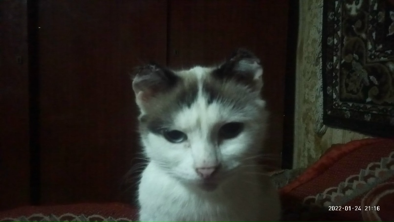 Игорь Шумилов |