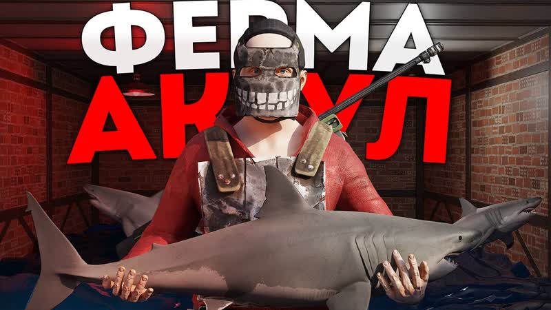 КОРОЛЬ АКУЛ МОЯ ФЕРМА АКУЛ ПРИНОСИТ РАКЕТЫ И СИШКИ ДЛЯ