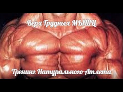 Тренинг ВЕРХА ГРУДНЫХ для НАТУРАЛА от Heavy Metal