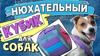 НЮХАТЕЛЬНЫЙ КУБИК для собак своими руками/Нюхательный коврик/DIY Dog Snuff Cube/Dog snuffle mat