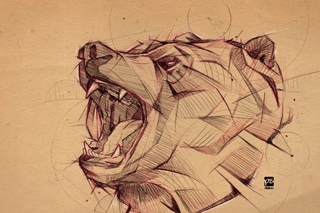 bear sketch digital timelapse psdelux
